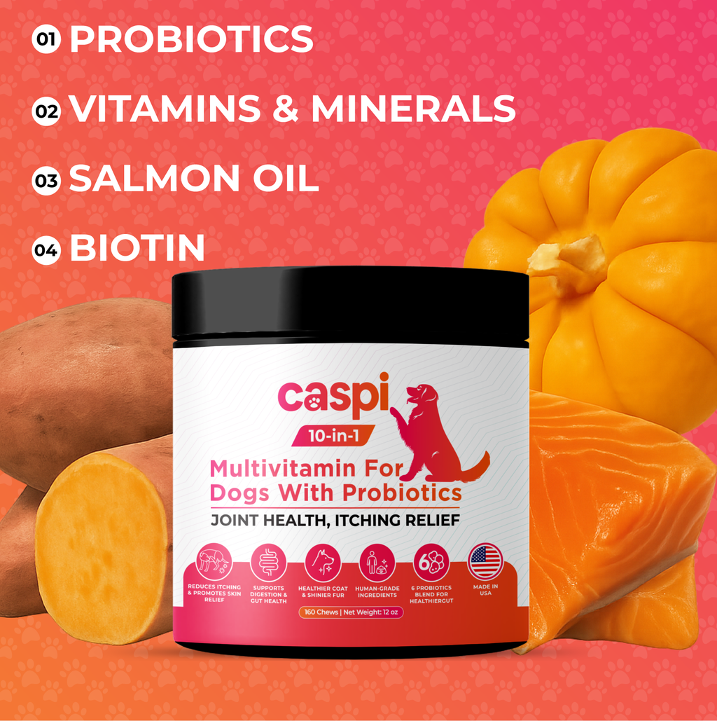 Caspi 10-in-1 Daily Multivitamin Healthy Treat for Dogs