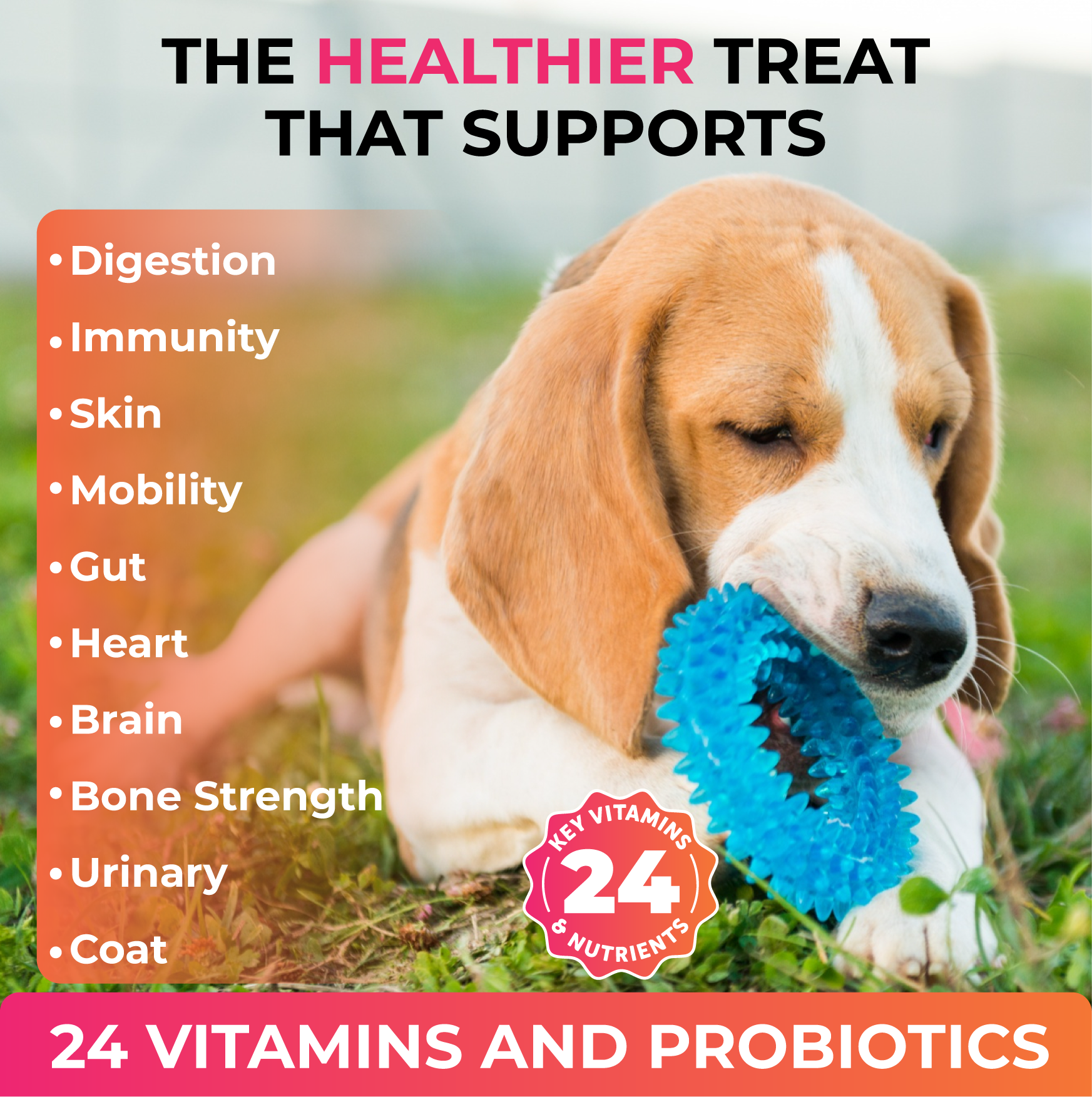 Caspi 10-in-1 Daily Multivitamin Healthy Treat for Dogs
