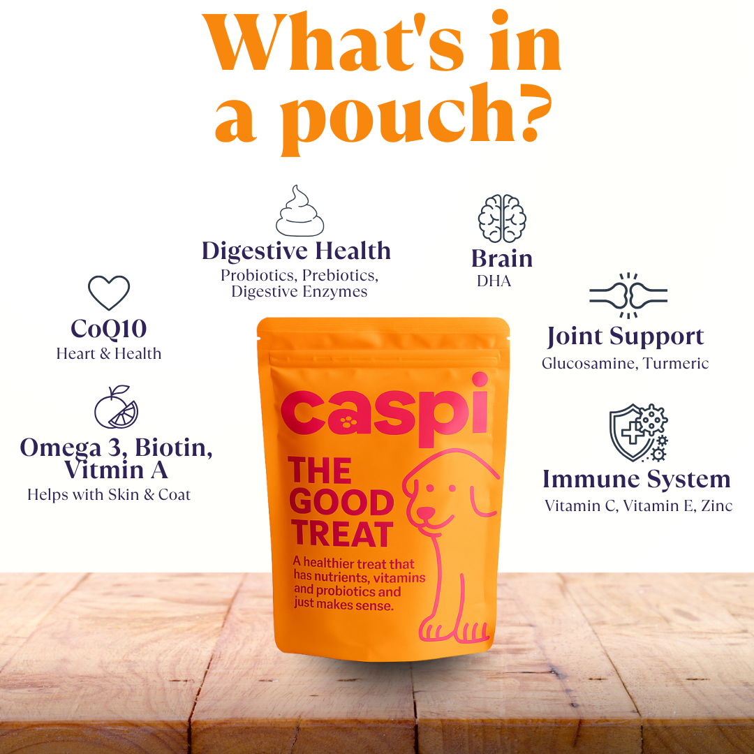 Caspi 10-in-1 Daily Multivitamin Healthy Treat for Dogs