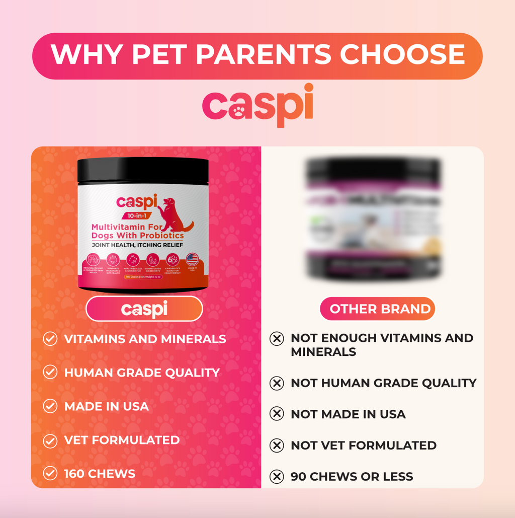 Caspi 10-in-1 Daily Multivitamin Healthy Treat for Dogs