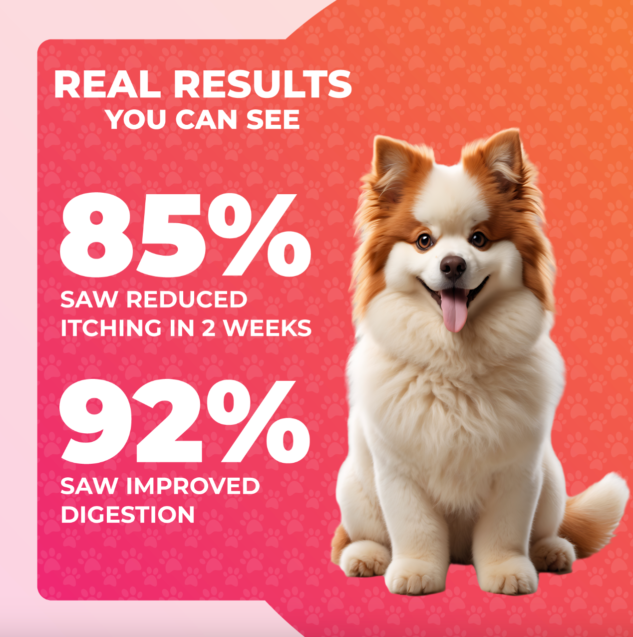 Caspi 10-in-1 Daily Multivitamin Healthy Treat for Dogs