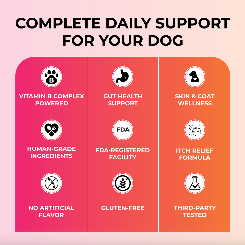 Caspi 10-in-1 Daily Multivitamin Healthy Treat for Dogs