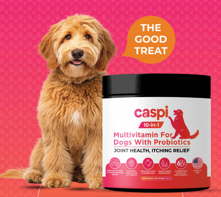 Caspi 10-in-1 Daily Multivitamin Healthy Treat for Dogs